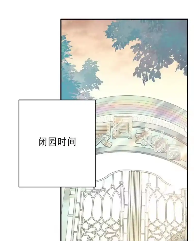我开动物园那些年_h 062 四大天王 第2页