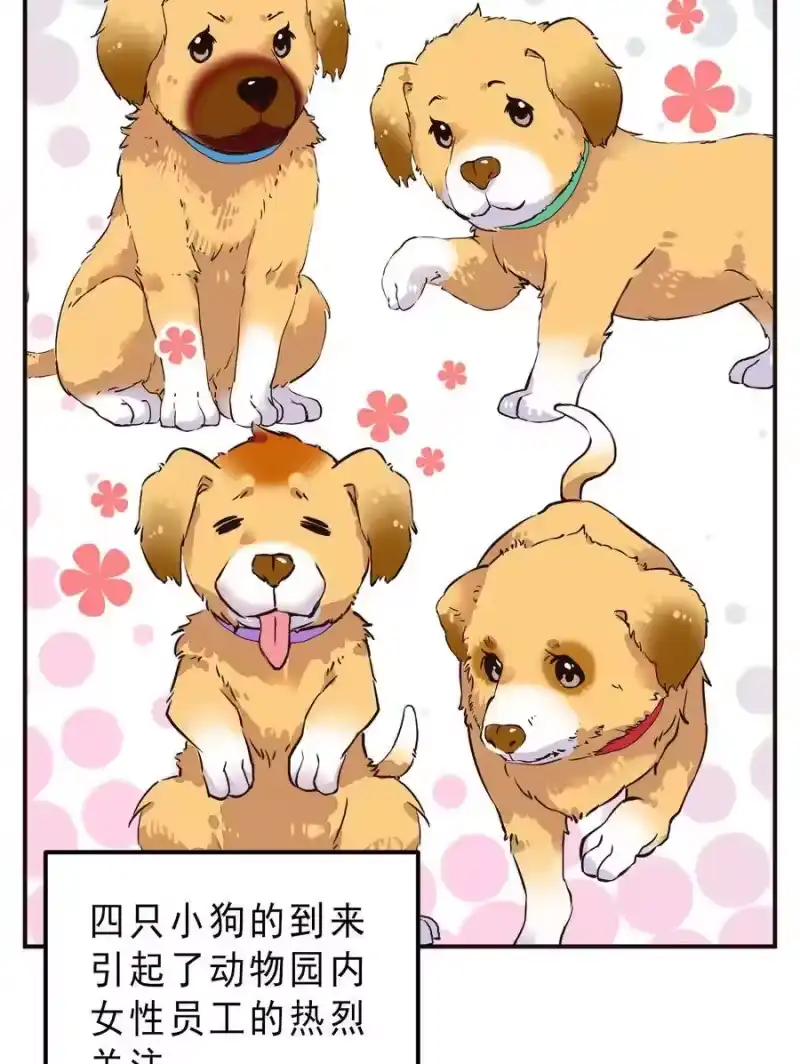 我开动物园那些年_h 062 四大天王 第22页