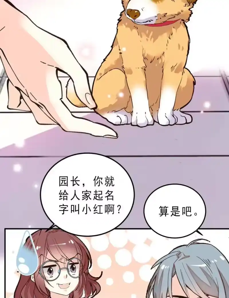 我开动物园那些年_h 062 四大天王 第28页