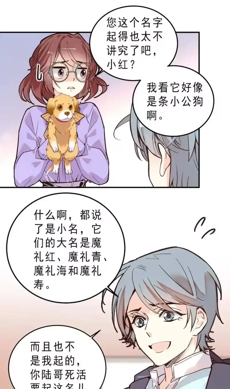 我开动物园那些年_h 062 四大天王 第30页