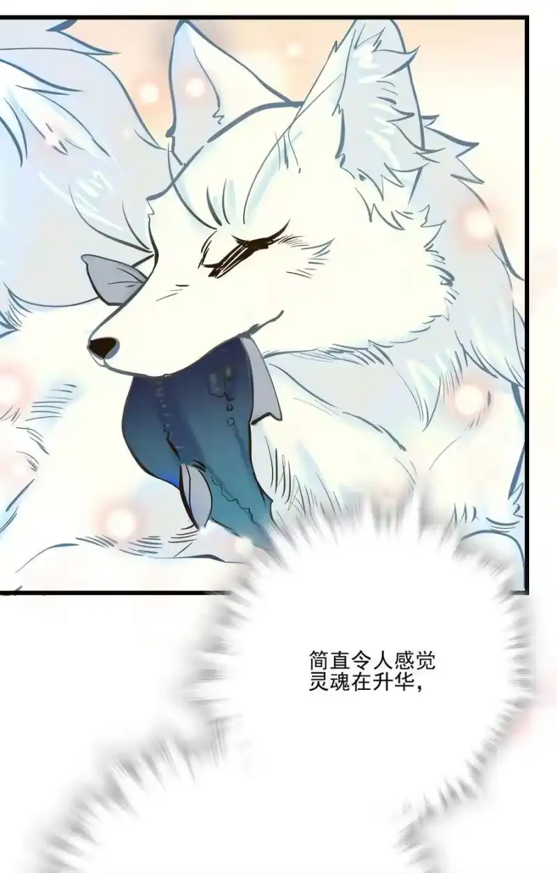 我开动物园那些年_h 066 倒贴的员工 第10页