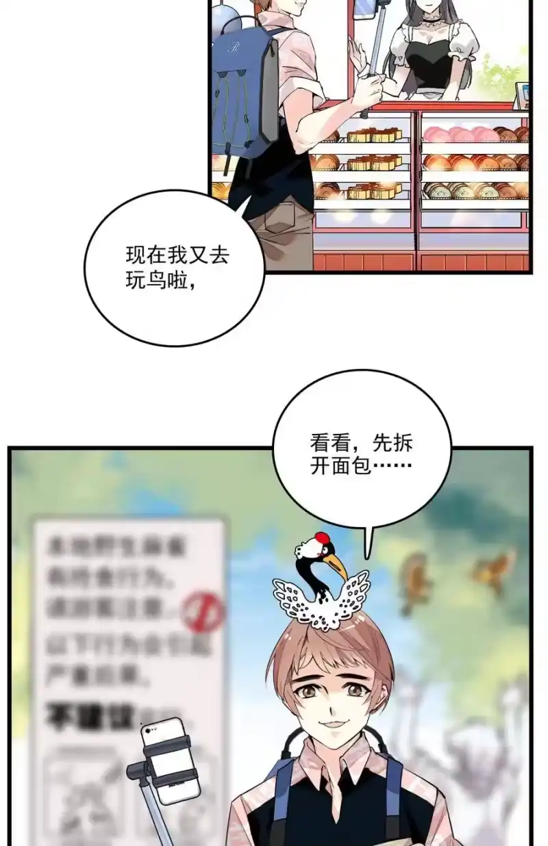 我开动物园那些年_h 071 游玩的主播 第15页