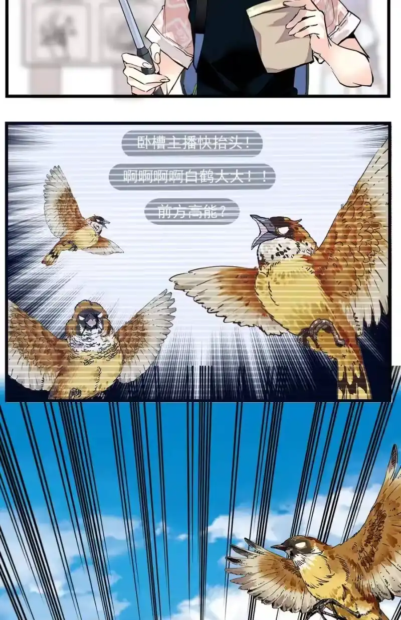 我开动物园那些年_h 071 游玩的主播 第16页