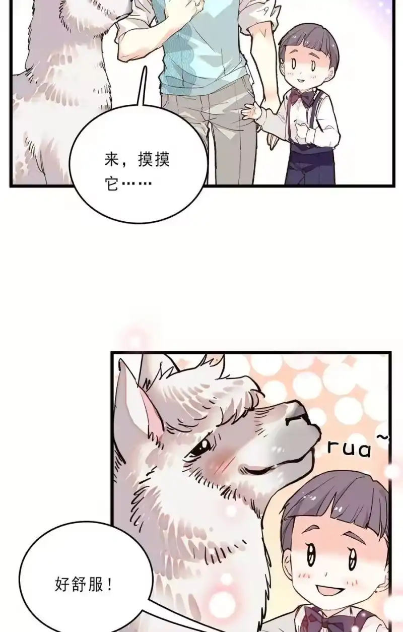 我开动物园那些年_h 076 劫持事件 第11页