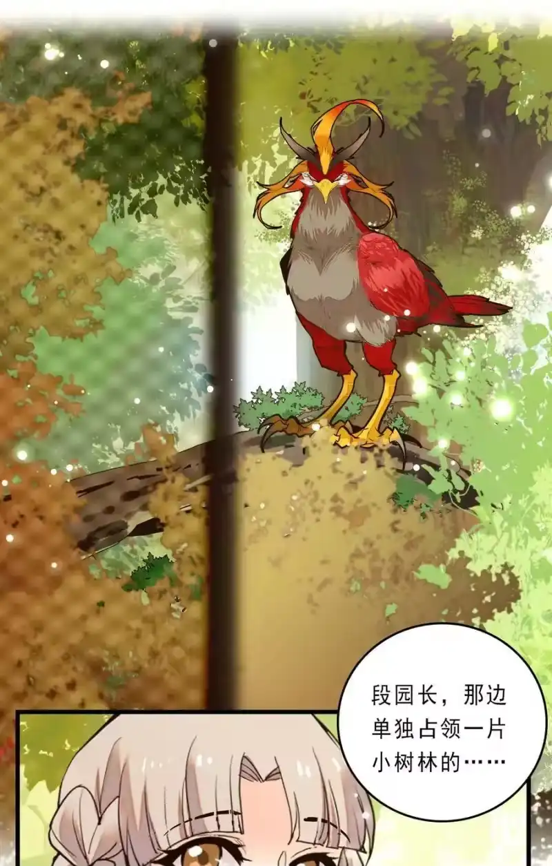 我开动物园那些年_h 076 劫持事件 第14页
