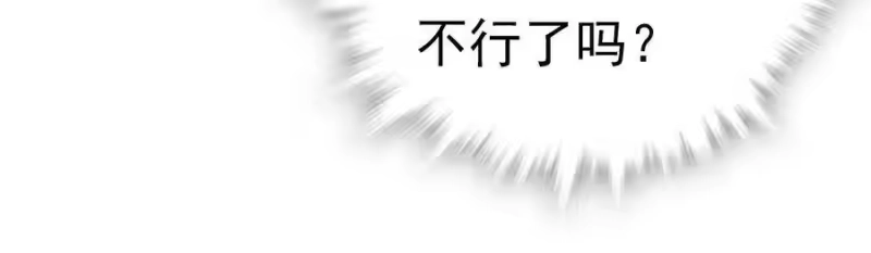 我开动物园那些年_h 007 荣光焕发，准备内测 第41页
