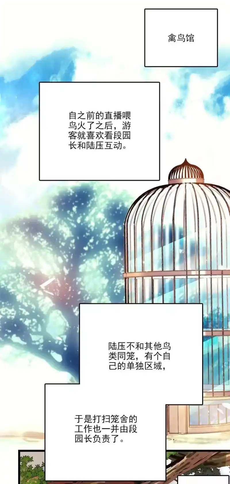 我开动物园那些年_h 085 捡的羽毛 第16页