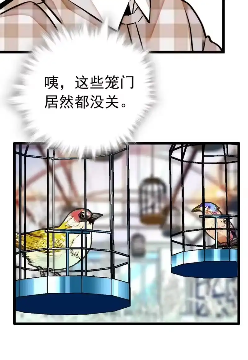 我开动物园那些年_h 008 首批游客（1） 第37页