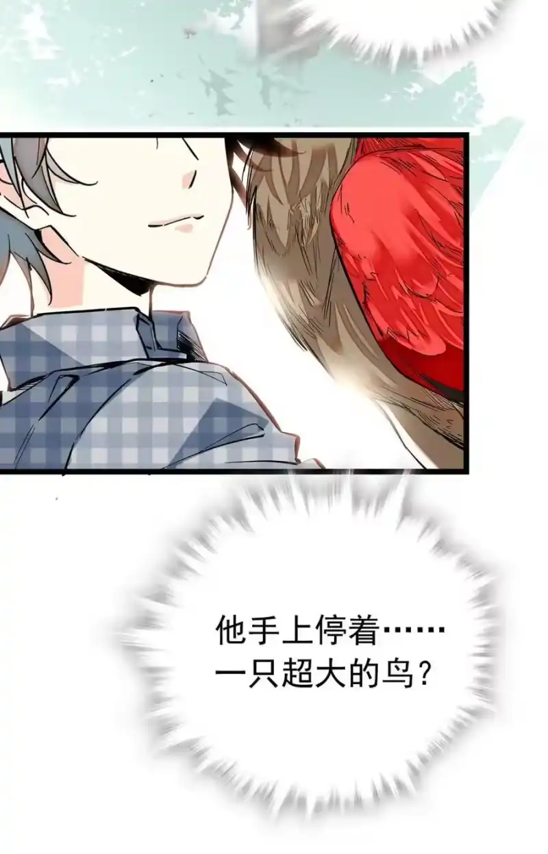 我开动物园那些年_h 008 首批游客（1） 第45页