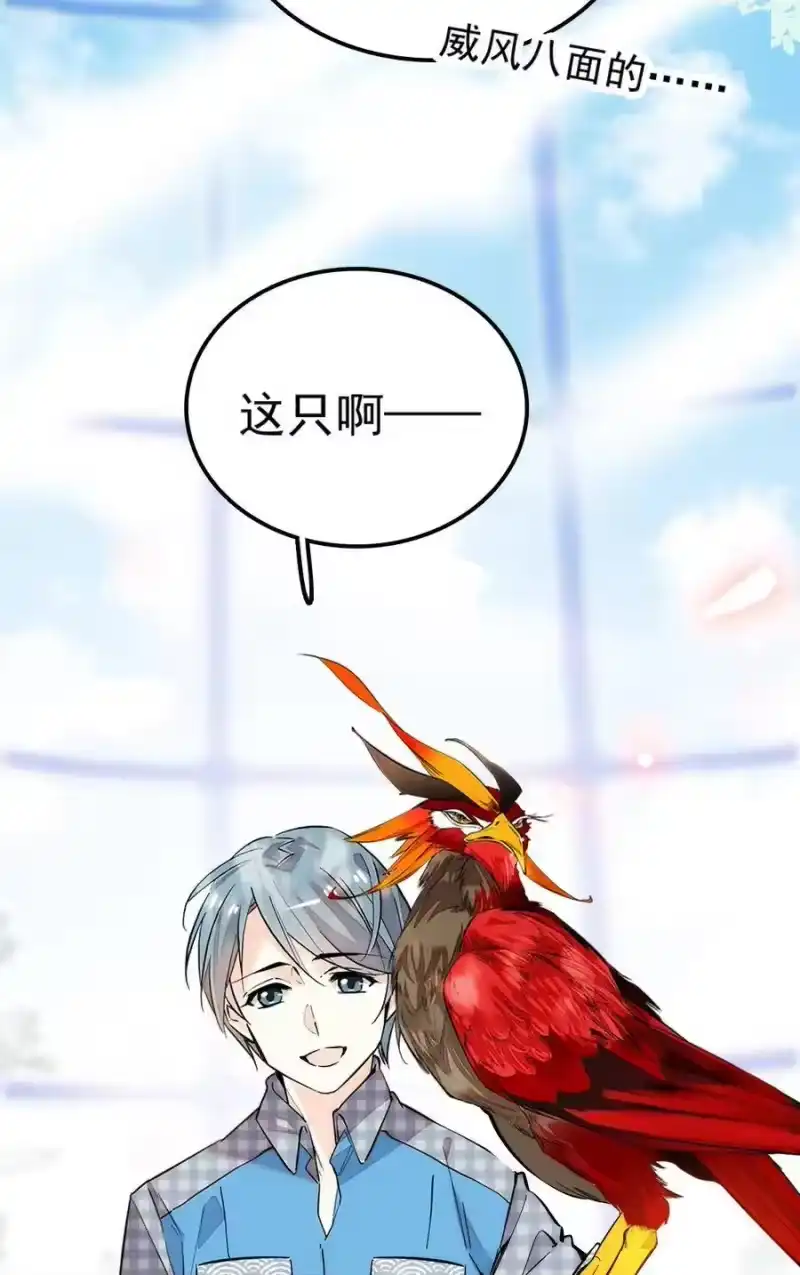 我开动物园那些年_h 008 首批游客（1） 第47页