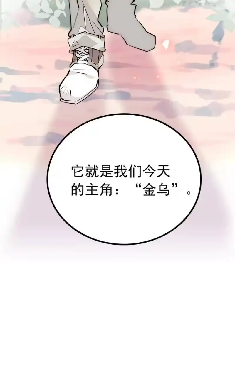 我开动物园那些年_h 008 首批游客（1） 第49页
