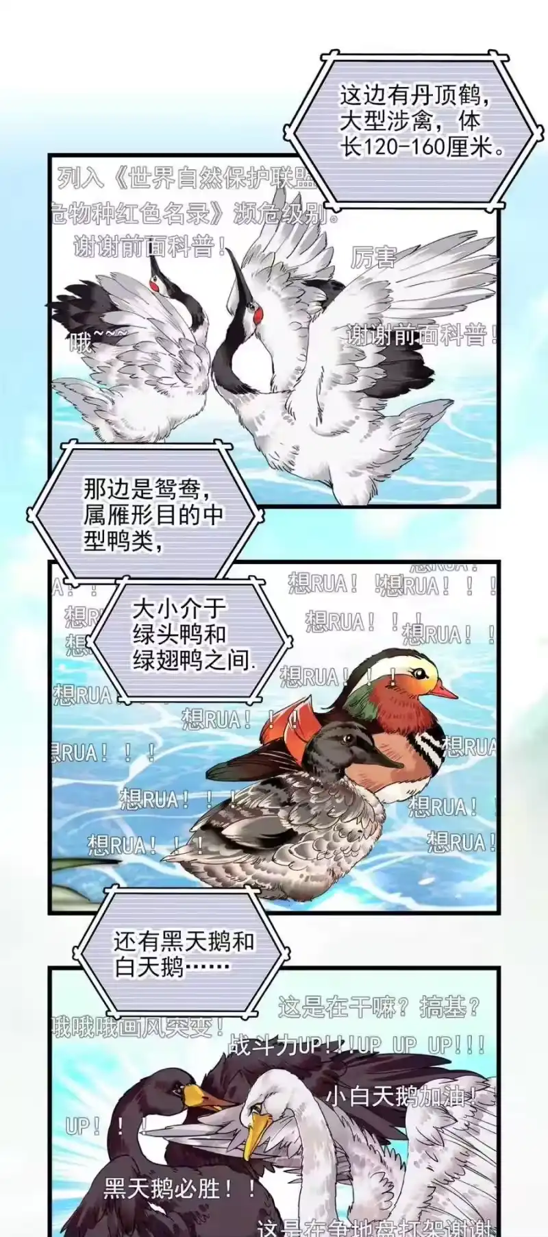 我开动物园那些年_h 096 小试直播 第14页