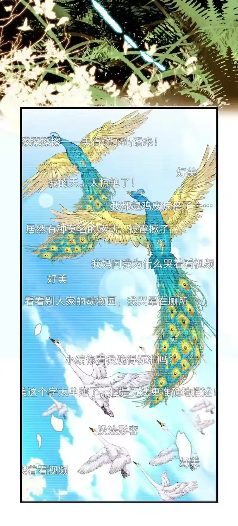 我开动物园那些年_h 096 小试直播 第20页