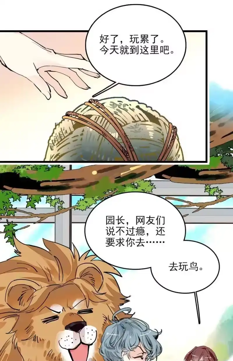 我开动物园那些年_h 097 逗猫猫 第33页