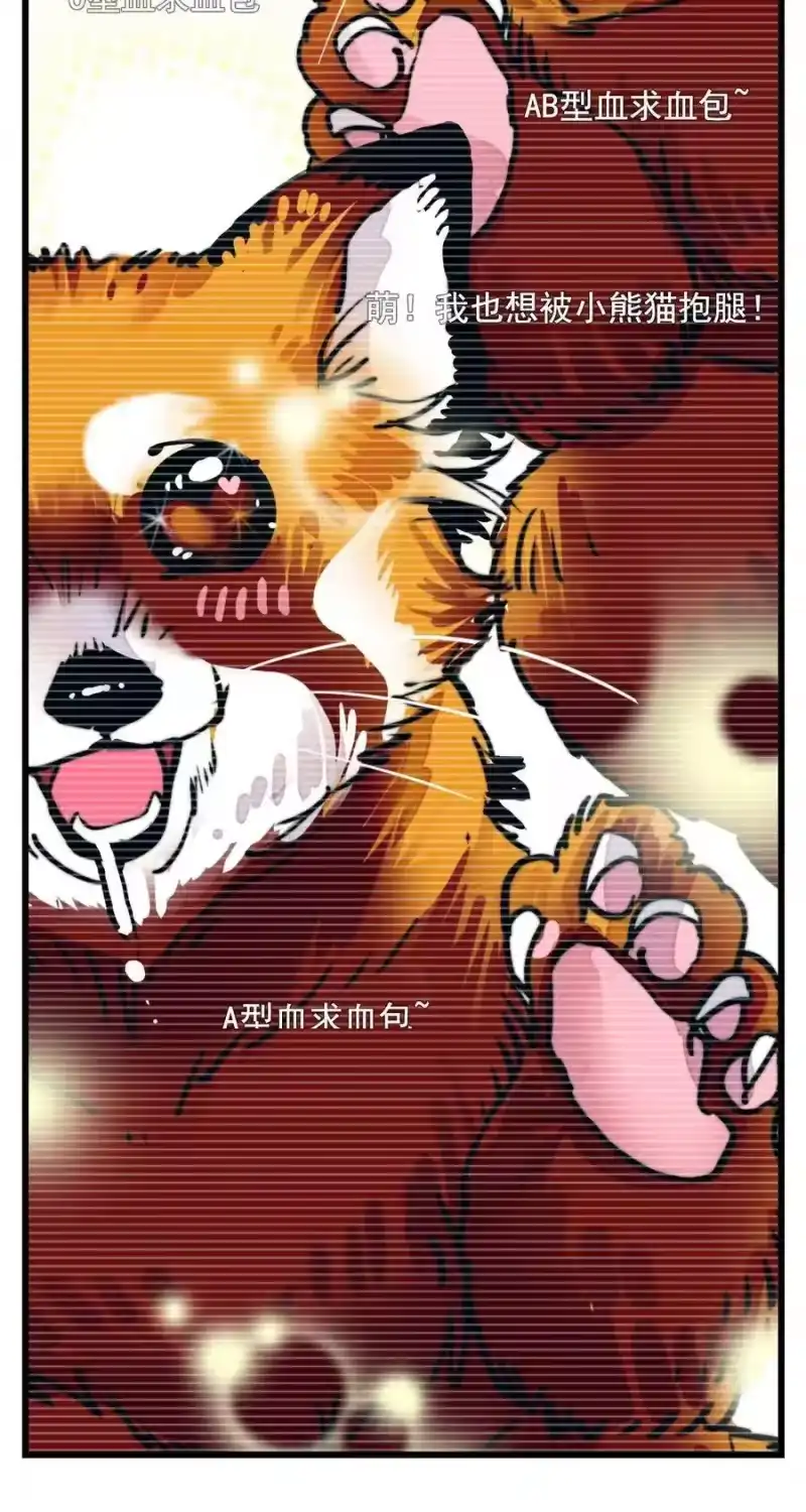 我开动物园那些年_h 097 逗猫猫 第9页