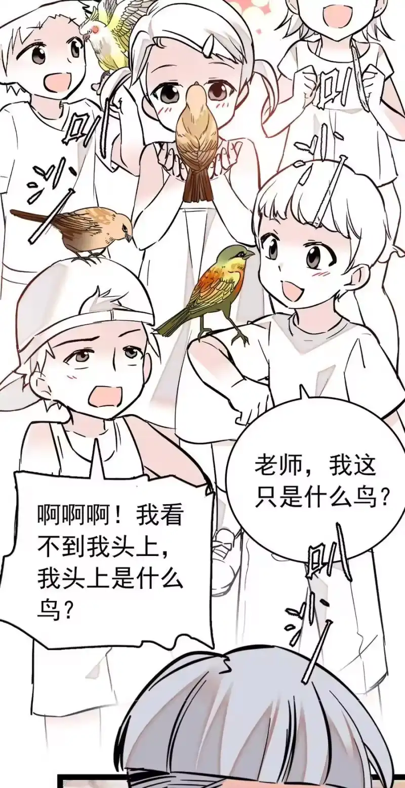 我开动物园那些年_h 009 首批游客（2） 第24页