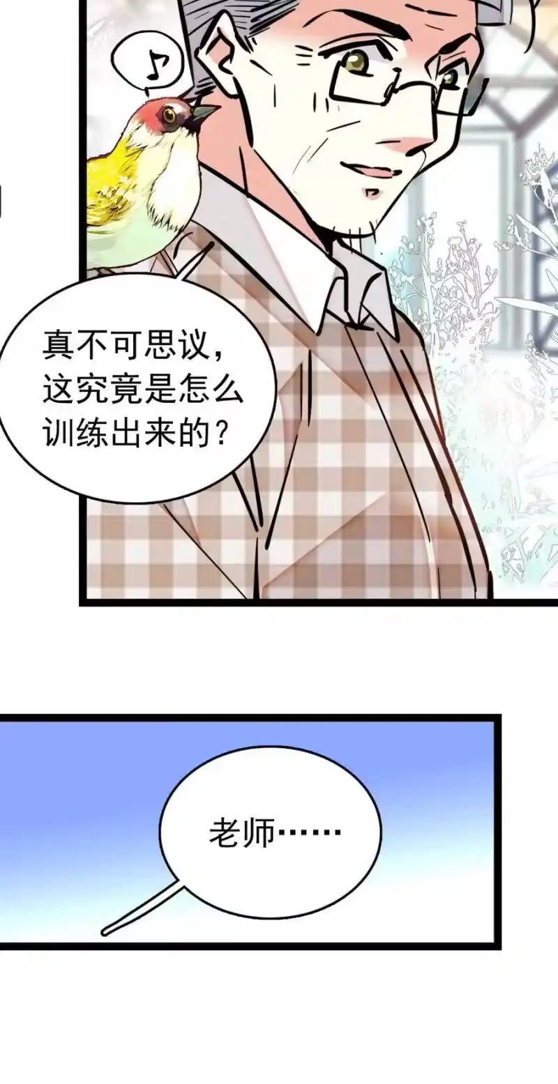 我开动物园那些年_h 009 首批游客（2） 第25页