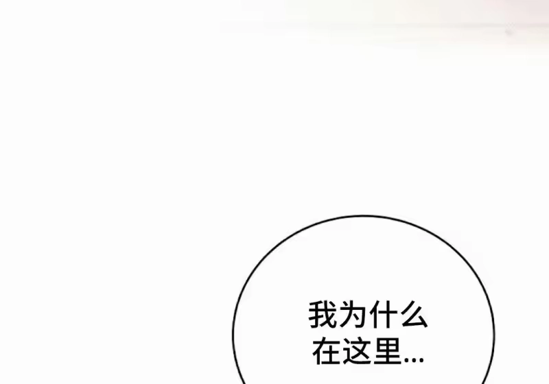 小说里的叛逆路人甲_h 第152话 第242页