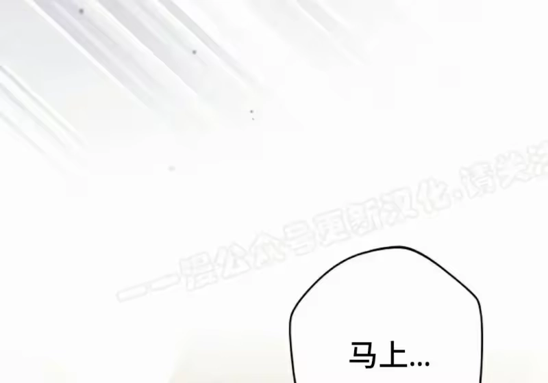 小说里的叛逆路人甲_h 第153话 第359页