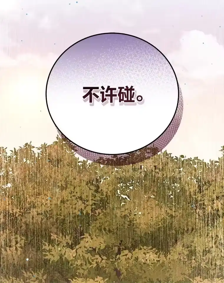 小说里的叛逆路人甲_h 59.队长的试探 第30页