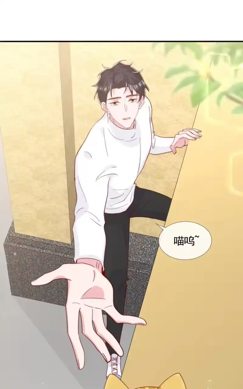 柠檬闪电_h 054 又是安宁？ 第14页