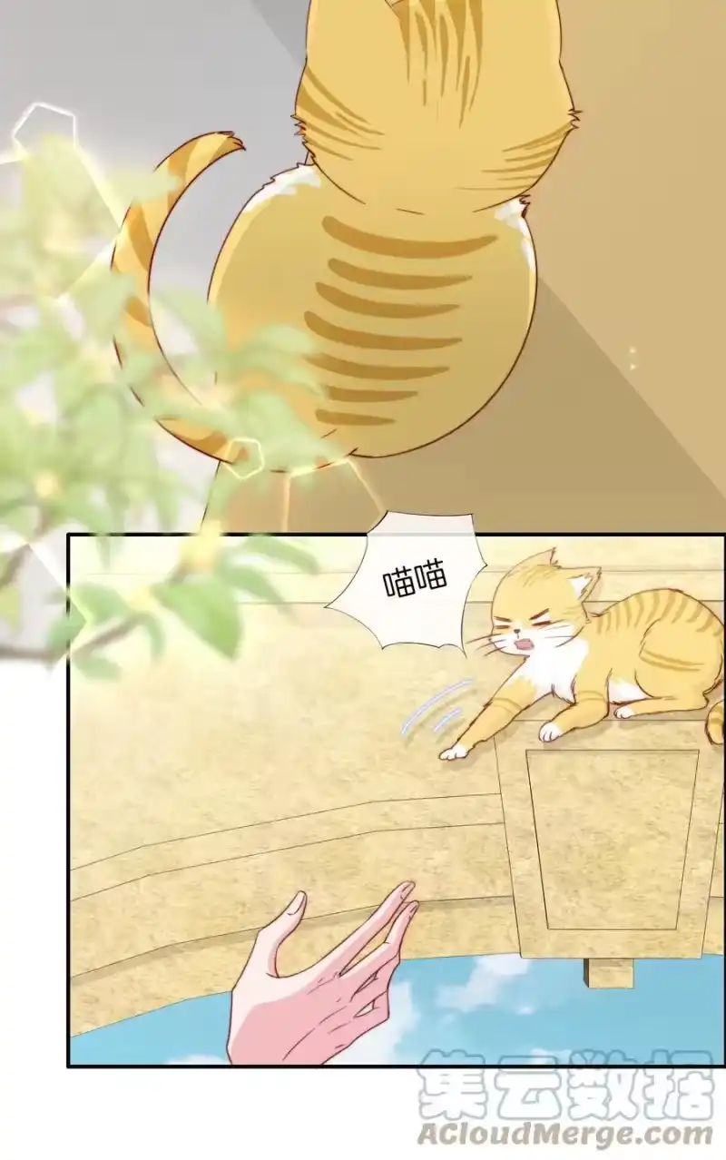 柠檬闪电_h 054 又是安宁？ 第15页
