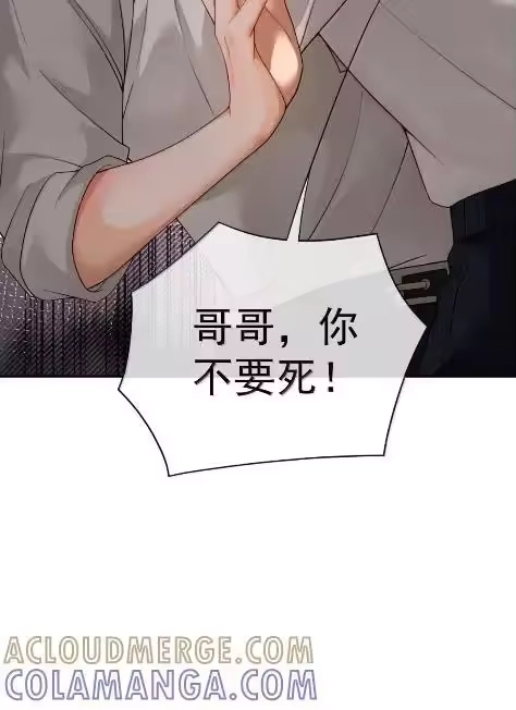 被病态弟弟肆意索要后_h 024 差一点就失去哥哥了 第17页
