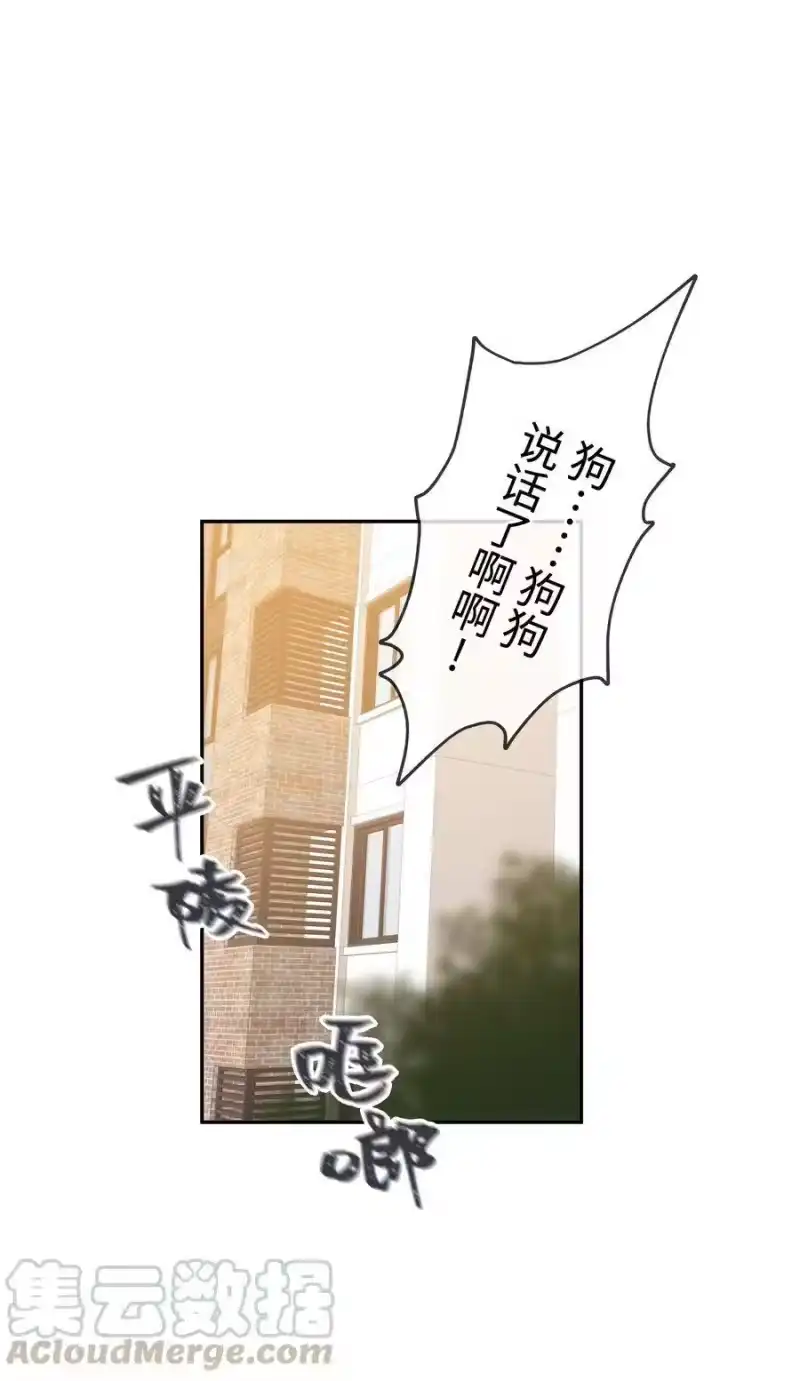 想听你说喜欢我_h 番外 狼的心愿 第13页