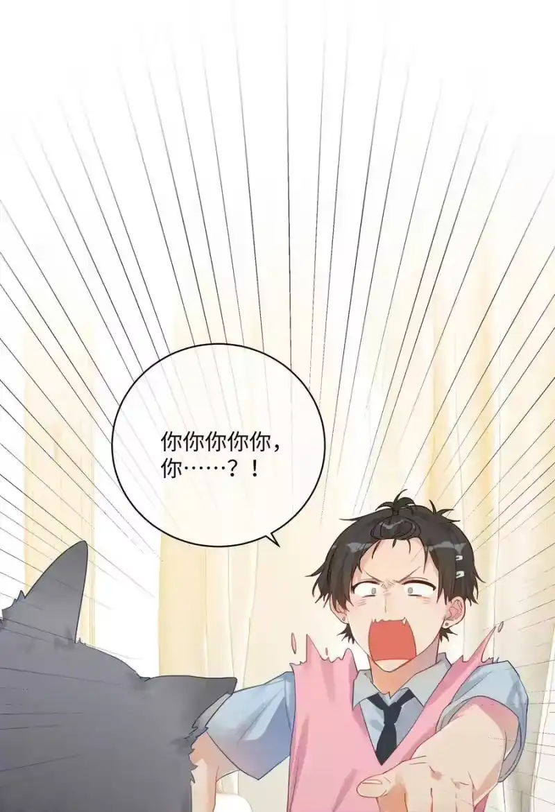 想听你说喜欢我_h 番外 狼的心愿 第14页