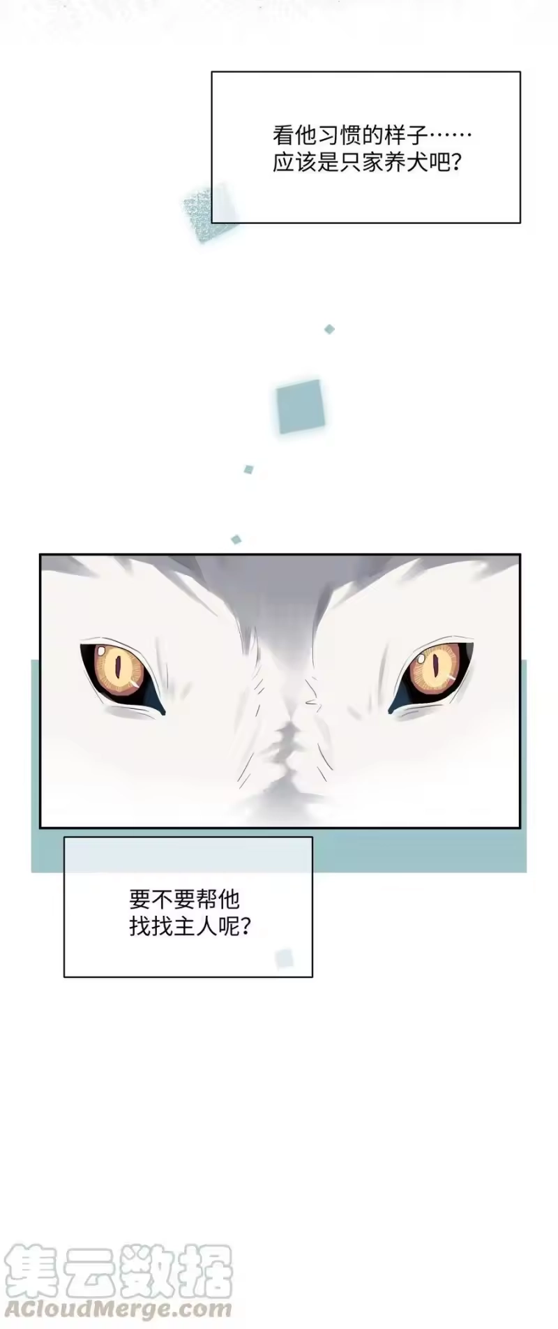 想听你说喜欢我_h 番外 狼的心愿 第5页