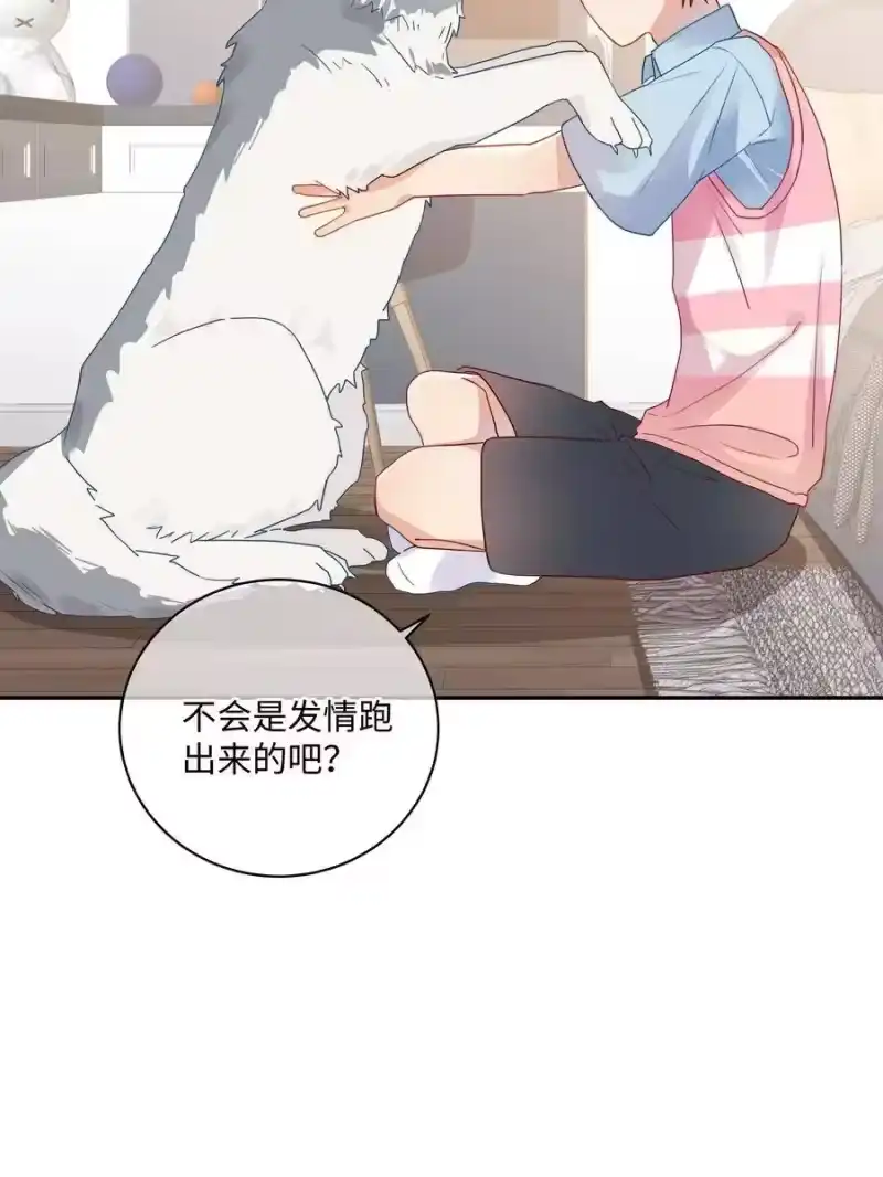 想听你说喜欢我_h 番外 狼的心愿 第7页