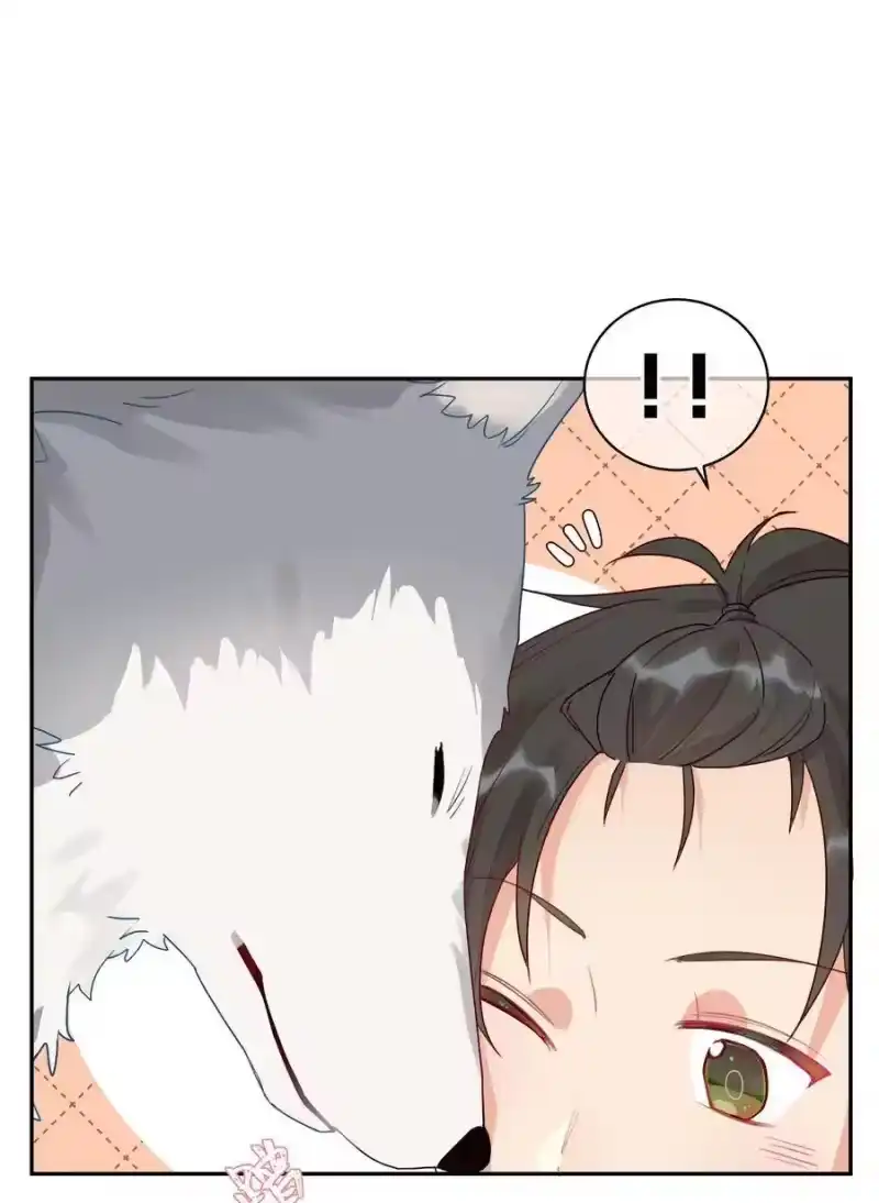 想听你说喜欢我_h 番外 狼的心愿 第8页