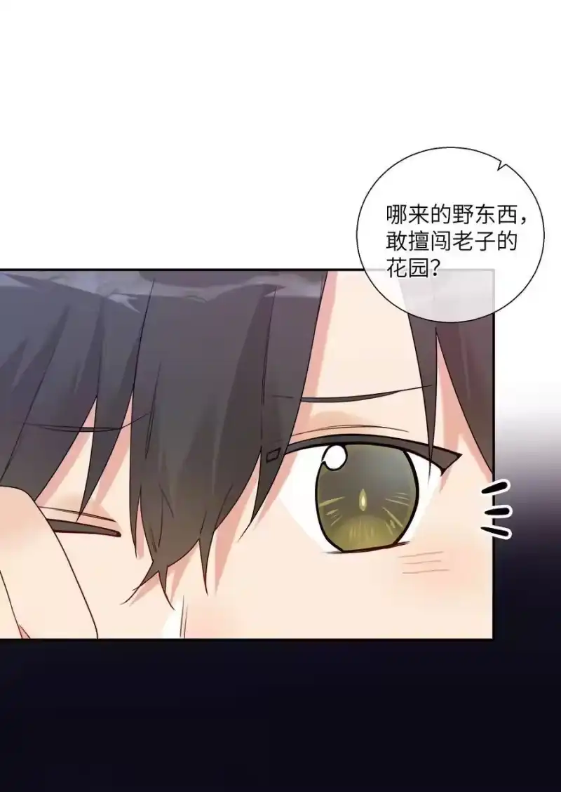 想听你说喜欢我_h 番外篇 大事不好啦！ 第20页