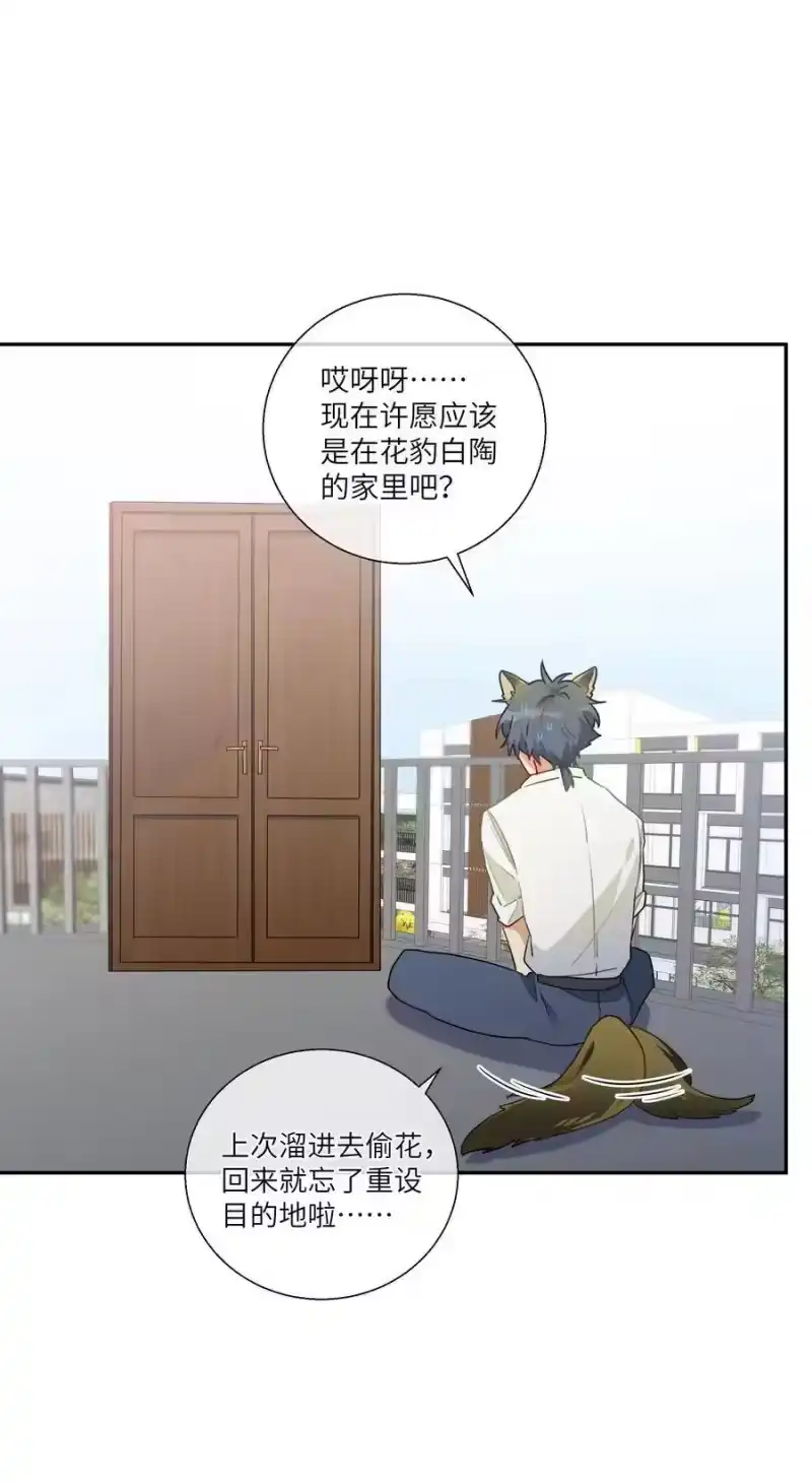 想听你说喜欢我_h 番外篇 大事不好啦！ 第24页