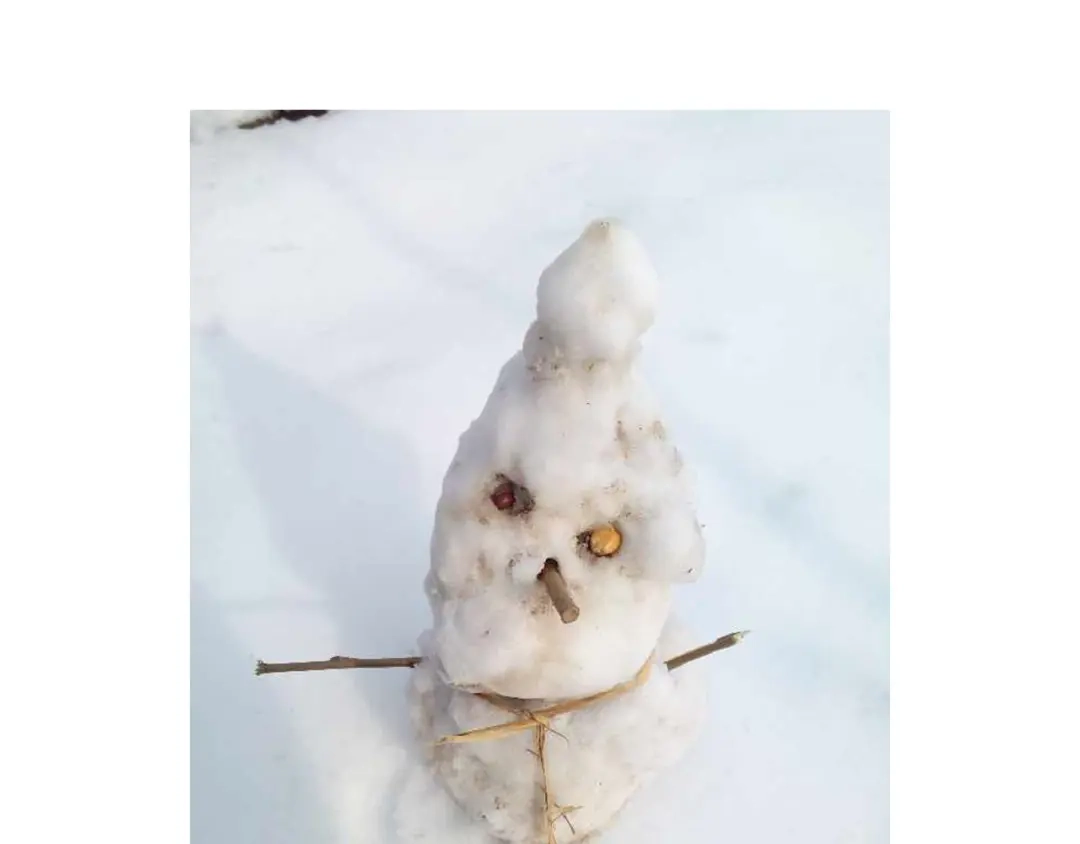 叫我森先生 打雪仗 第84页