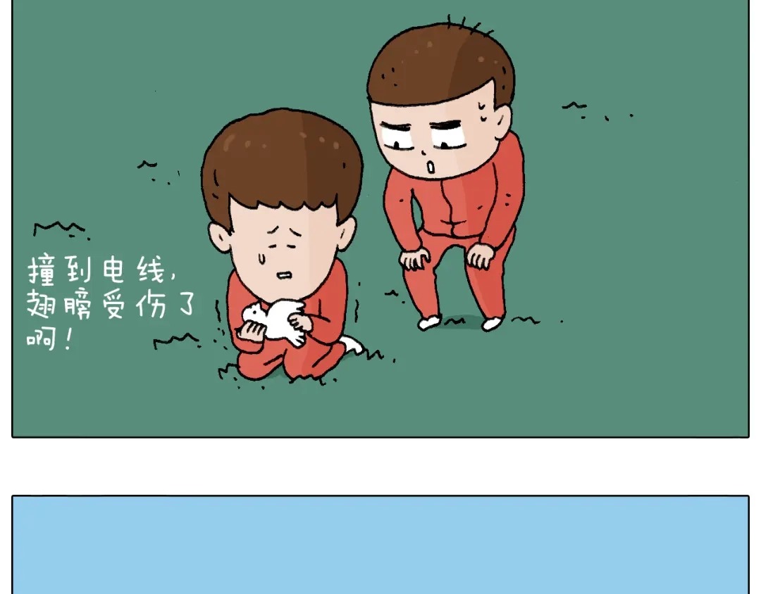 叫我森先生 老同学的回忆 第51页