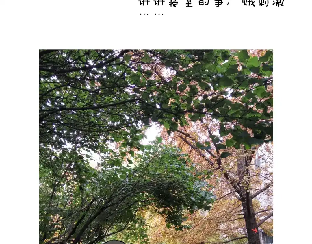 叫我森先生 给你画个大凤凰！！ 第74页