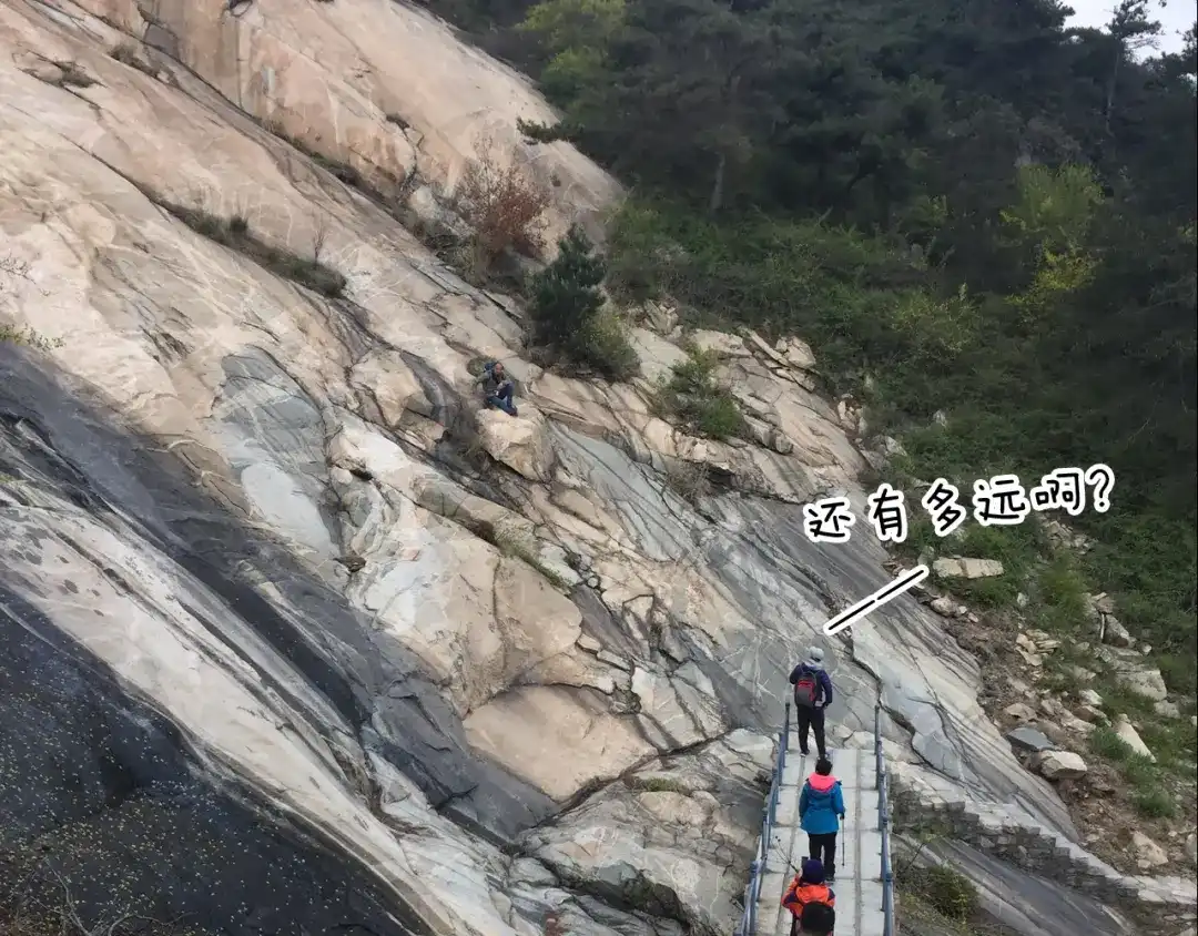 叫我森先生 泰山行2 第51页