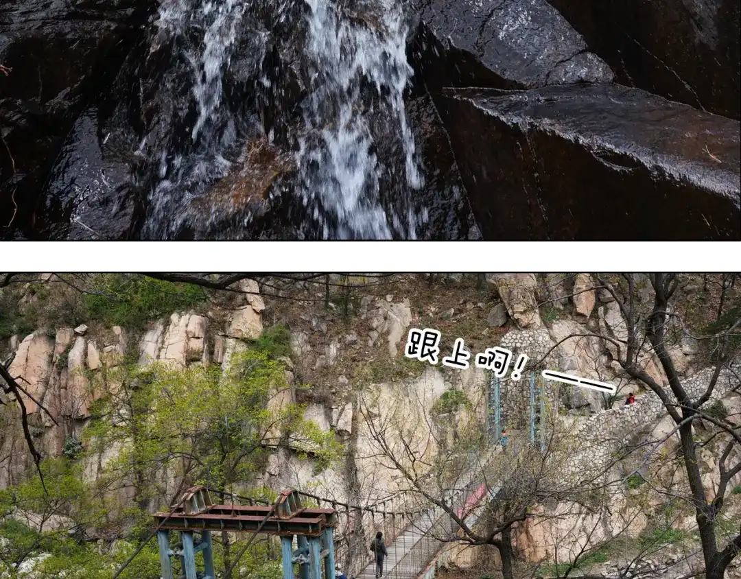 叫我森先生 泰山行2 第55页