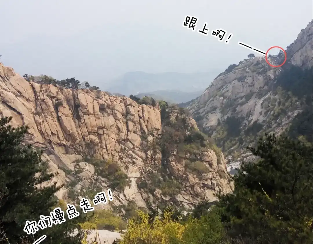 叫我森先生 泰山行2 第57页