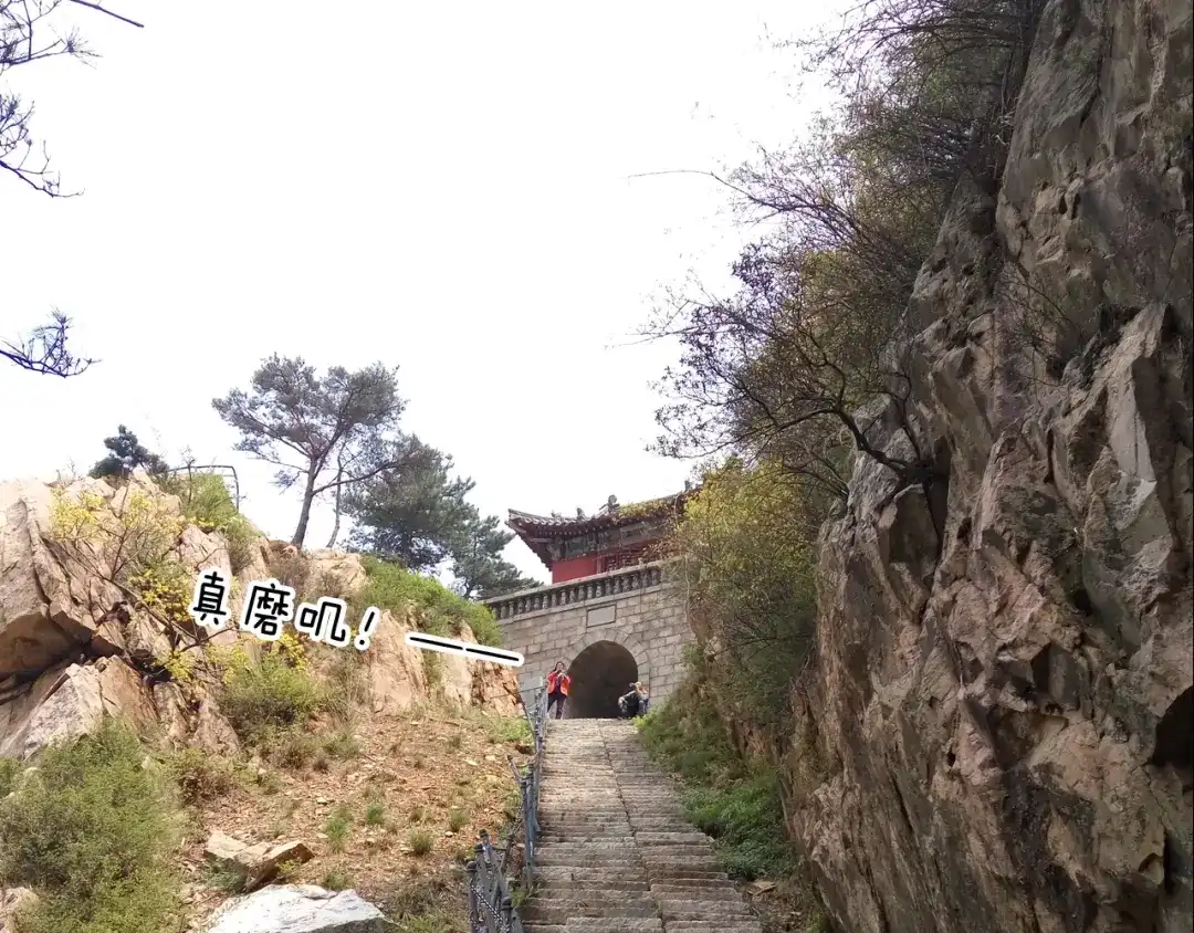 叫我森先生 泰山行2 第60页