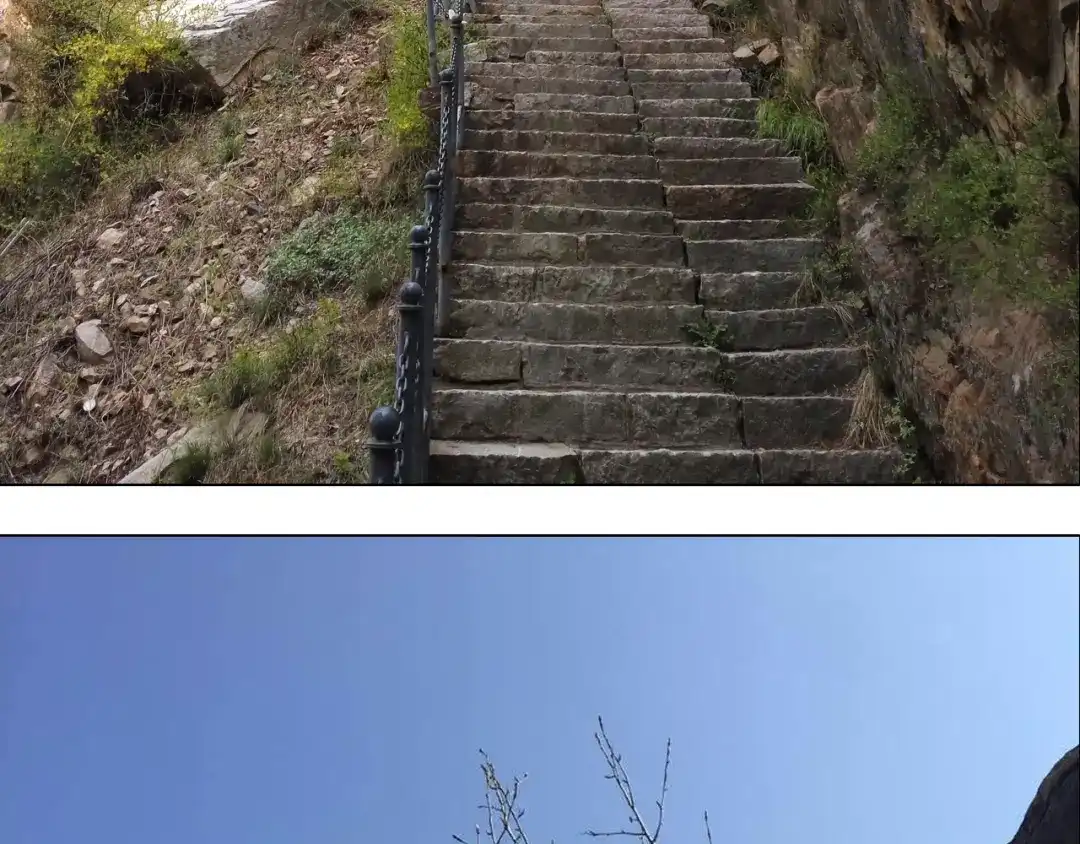叫我森先生 泰山行2 第61页