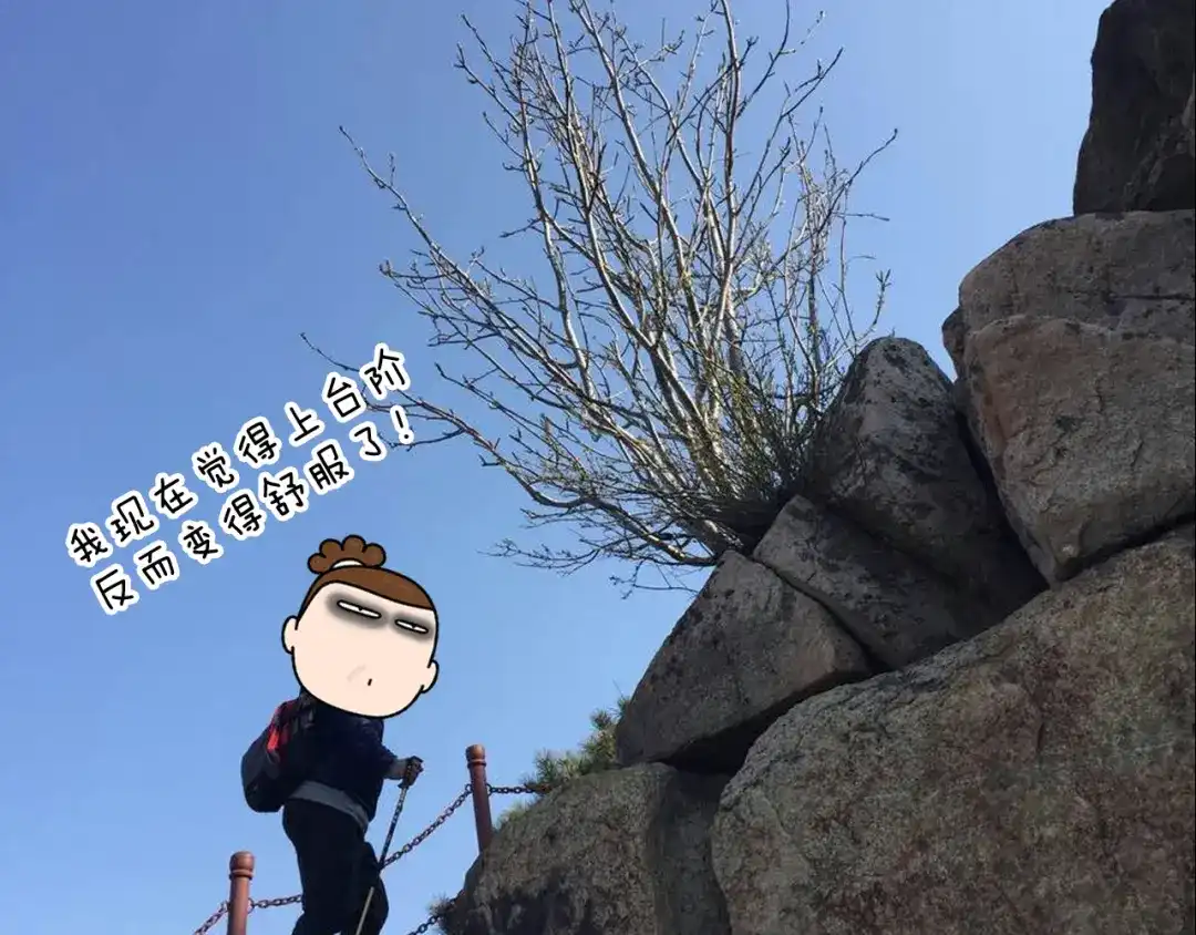 叫我森先生 泰山行2 第62页