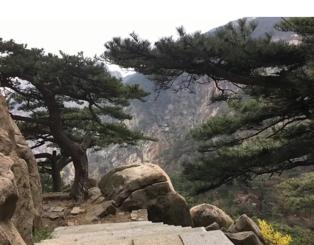 叫我森先生 泰山行2 第87页