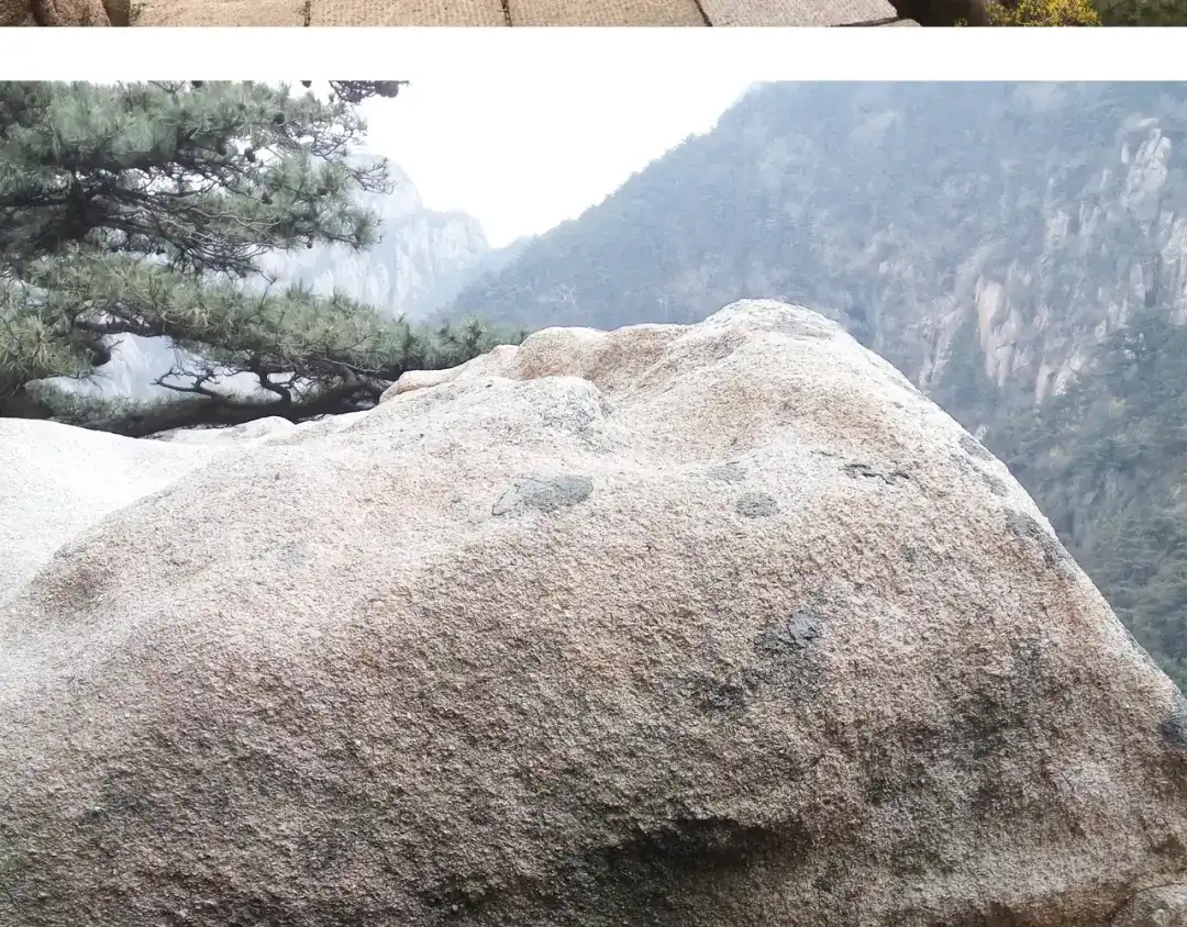 叫我森先生 泰山行2 第88页