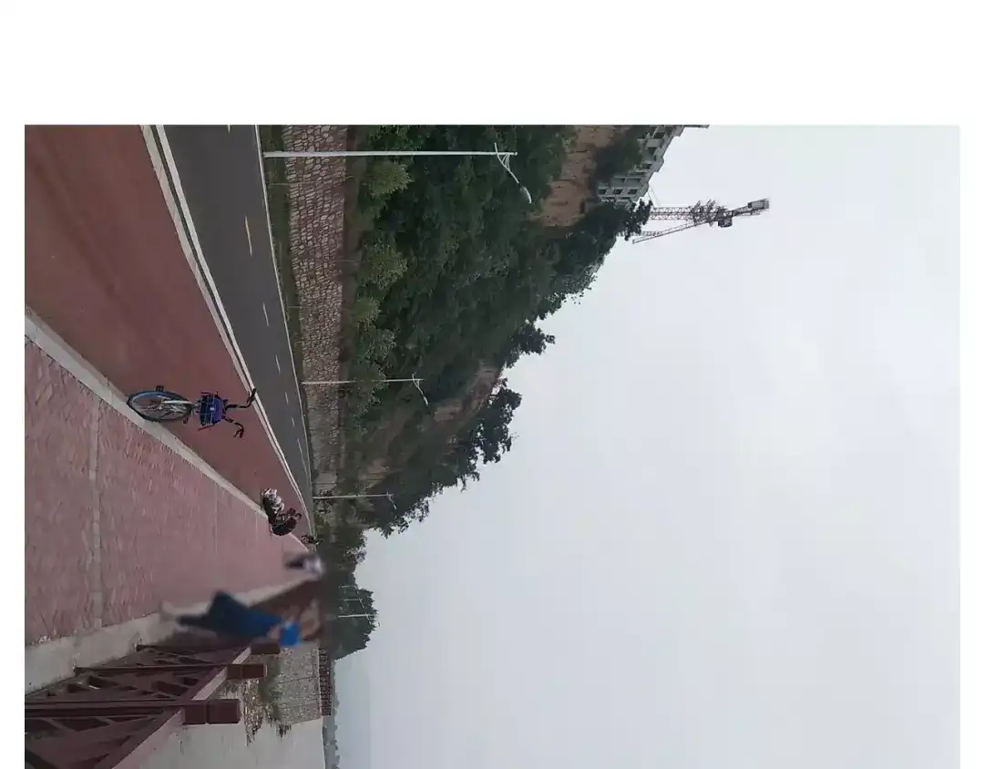 叫我森先生 第181话 洗不清 第58页