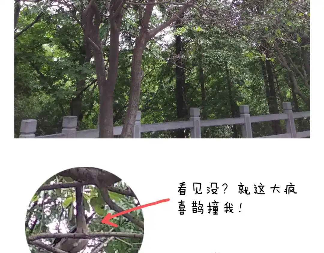 叫我森先生 第187话 意外伤害 第76页