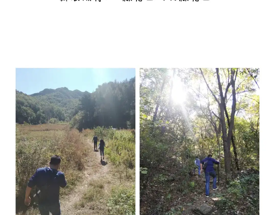 叫我森先生 第200话 不到长城非好汉 第55页