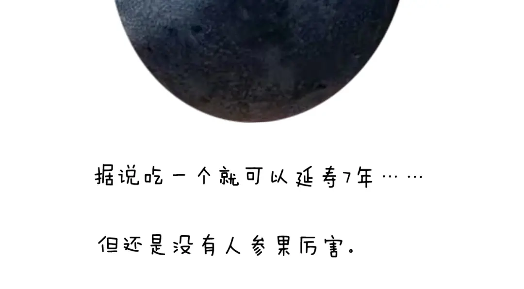 叫我森先生 第236话 “黑玉子” 第68页