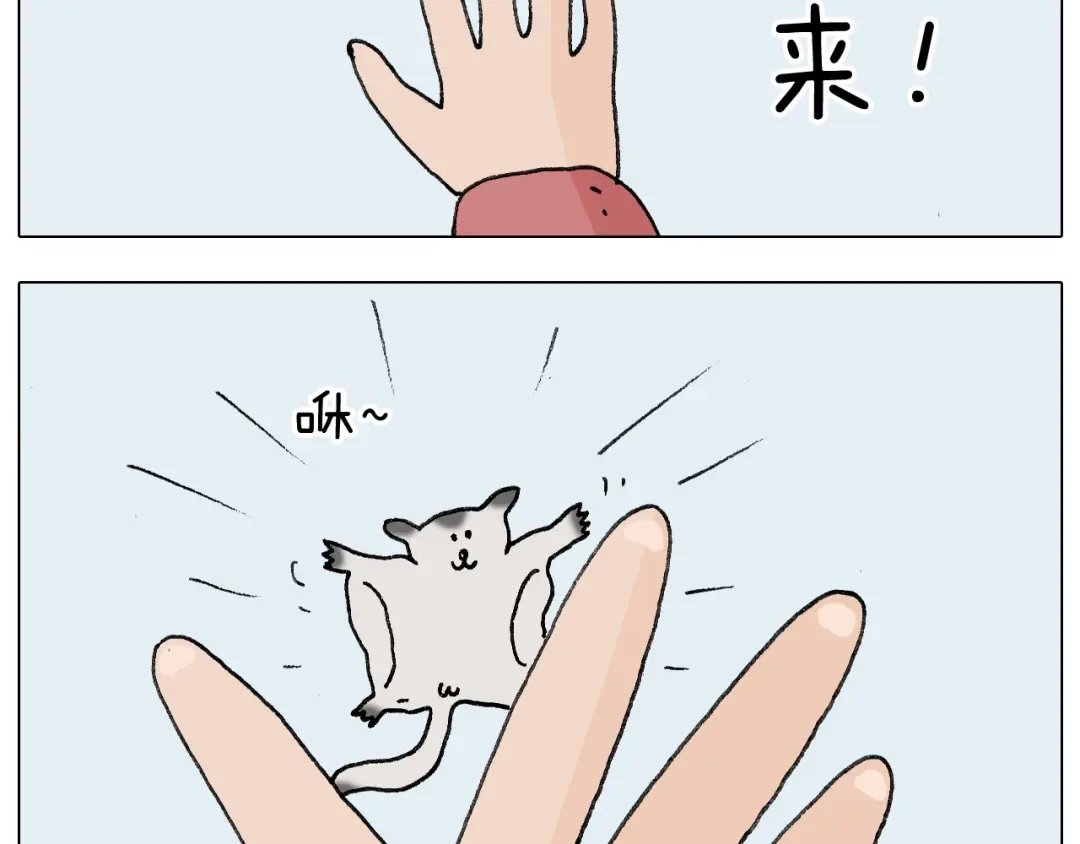 叫我森先生 第253话 动物之友 第39页